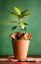 Generative AI Illustration Of Vibrant Plant With Glossy Leaves In Terra Cotta Pot Wrapped In Crumpled Brown Paper Set Against A Dark Green Background