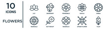 Flowers Linear Icon Set. Includes Thin Line Snowdrop, Periwinkle, Zinnia, Buttercup, Spider Flower, Tulip, Marigold Icons For Report, Presentation, Diagram, Web Design