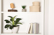 White shelves with books, houseplants and different decorative elements indoors. Interior design