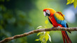 © Phrygian - In the Wild: Full-Length View of Macaw Parrot with Exquisite Tail