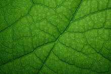 Macro Of Green Leaves Generated By AI