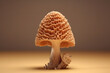 3d rendering Morel Mushroom