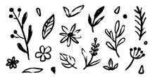Flower Doodle Hand Drawn Line Stroke. Sketch Hand Drawn Spring Floral Plant, Nature Graphic Leaf, Scribble Grunge Brush Texture. Vector Simple Flower, Leaf Brush Stroke. Vector Illustration