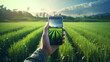 smart farmer holding smartphone rice fields production