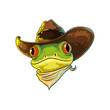 cowboy frog illustration in colored cowboy style