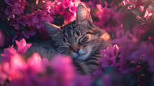 Slumbering Cat In Blossom Haven