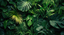 Nature Leaves, Green Tropical Forest, Background Concept