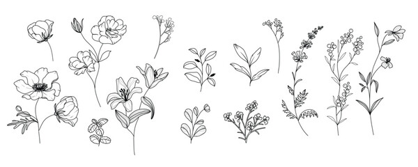 minimal line flower and botanical graphic sketch drawing, trendy tiny tattoo design, floral elements vector illustration