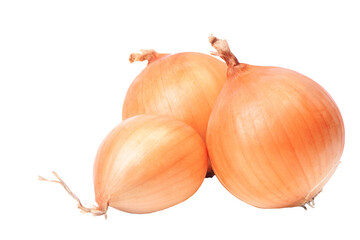 Poster - Onion isolated on white background