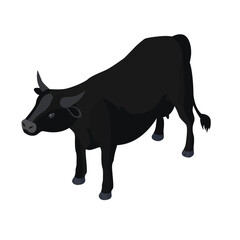 isometric 3d vector illustration of black cow. isometric animal cow,. isolated on white background.