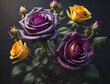 gelbe und lila Rosen vor einem dunklem Hintergrund