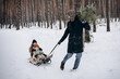 © Ananass - a man with a Christmas tree in his hands drives a sled with his daughters in the middle of a snowy forest
