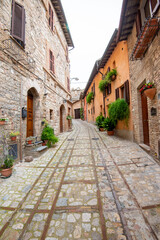 Canvas Print - Cobblestone Pedestrian Alley in Spello - Italy