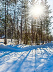 Canvas Print -  Snowy day