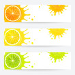 Set Banners of Juicy Citrus Fruits