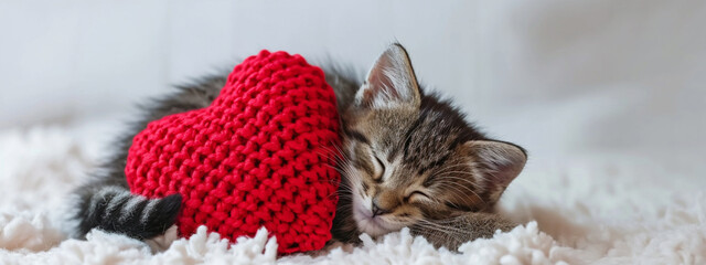 Wall Mural - the cat is sleeping with a soft red pillow in the shape of a heart