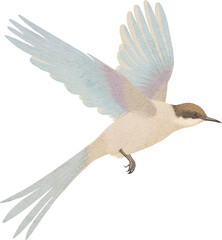 Poster - Flying tropical little bird created with Generative AI technology