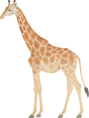 Aufkleber - Giraffe illustration created with Generative AI technology