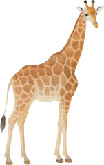 Aufkleber - Giraffe illustration created with Generative AI technology
