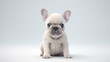 3d cartoon  french bulldog puppy on white background