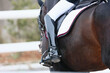 The rider's leg is a close-up of a dressage competition. Bay horse