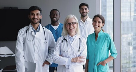 Wall Mural - Diverse staff of clinic with serious younger doctors and confident elder medical chief looking at camera, getting positive, happy, looking at camera with toothy smiles, posing for group portrait