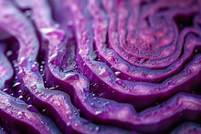 A Macro Shot Of The Intricate Veining In A Red Cabbage Slice, With A Focus On The Subtle Color Variations,