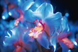 Macro glowing blue orchid flowers on dark background