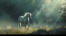 Wild Horse Running In A Field
