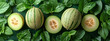 A group of honeydew melons, their pale green rinds netted with a delicate tracery of brown, rest on a bed of fresh mint leaves. The melons are various sizes, some halved to reveal their sweet