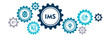 © Design - IMS - Integrated Management System concept vector icons set infographic background.