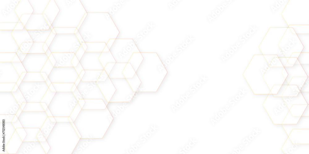Abstract White And Grey Color Hexagonal Geometric Background Digital