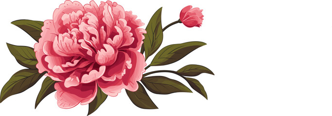 Canvas Print - Peony flower icon. Peonies on transparent background. Watercolor pink peony flowers. Realistic peony flowers with leaves . Hand drawn botanical floral decoration