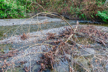 Wall Mural - Landscape Des Moines Creek 7