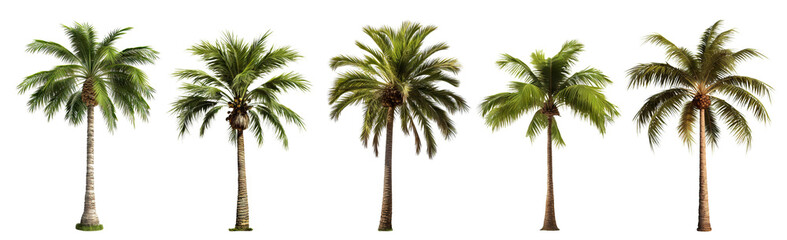 Wall Mural - Set of green palm trees, cut out
