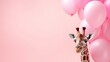 Close-up of a giraffe's face and balloons on a pink background, close-up portrait of a giraffe on a pink background, space for text, birthday card with giraffe and balloons