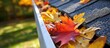 Clogged gutter due to fall foliage in eaves.