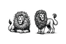 Set Of Lions  Illustration. Hand Drawn Lion Black And White Vector Illustration. Isolated White Background