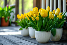 Spring Flowers Yellow Tulips In White Pots Stand On The Porch Of The House