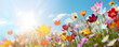Color spring flowers fairy nature background - Seasons design
