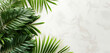 Palm leaves on a white plastered wall background for a card for Palm Sunday and Easter with space for concept
