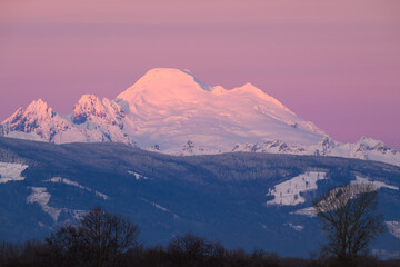 Evening light creates a purple hue in the sky above volcanic Mount Baker in the Cascade Mountains Range