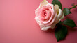 © l1gend - Top View of Pink Rose Flower Isolated Background. Empty Space for Wedding Invitation Cards. Valentine's Day or Mother's Day Holiday Concept