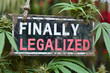 Endlich legalisiert: Schild mit der Aufschrift 'Finally Legalized' vor einem Hintergrund aus legalisiertem Cannabis symbolisiert den Durchbruch in der Cannabisgesetzgebung.