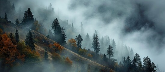 Sticker - Stormy weather with misty trees on mountain slope.