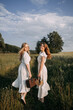 © alenazamotaeva - The image features two women wearing white dresses standing outdoors in a grassy field under a cloudy sky. 5631