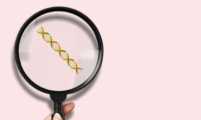Wall Mural - checkup and research human dna gene chromosome molecule