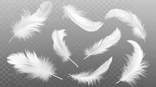 Vector White Feathers Collection, Set Of Different Falling Fluffy Twirled Feathers, Isolated On Transparent Background. Realistic Style, Vector 3d Illustration