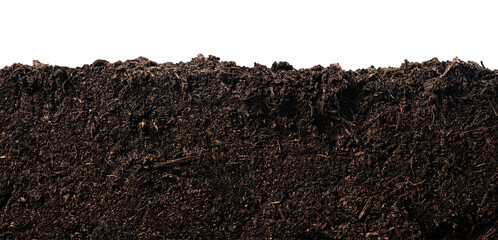 soil or dirt section isolated on white background