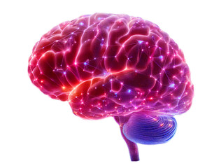 brain technology synapses isolated transparent background